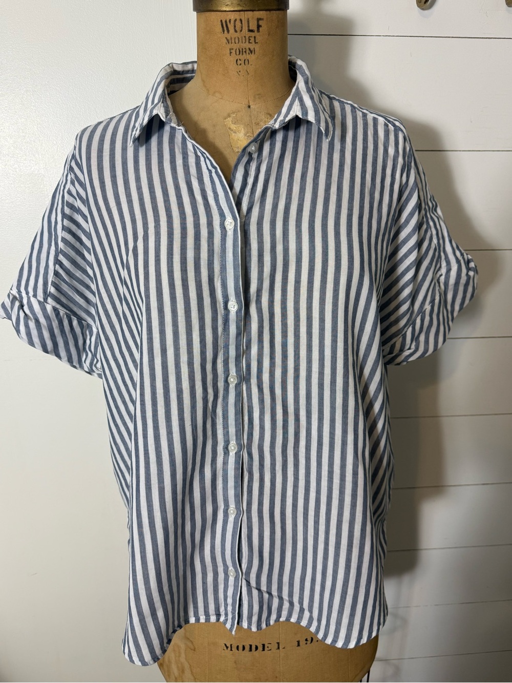 Banana Republic Cotton Striped Blue and White Button-Up Shirt
